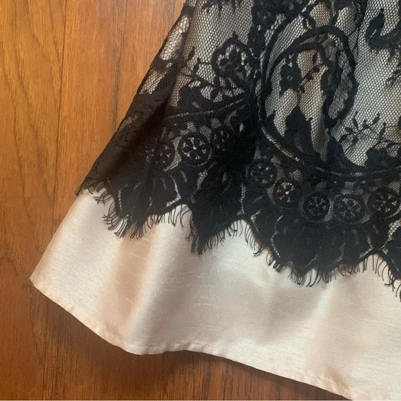 Wyton elegant Strapless Lace Dress - Black and Cream nwot - Picture 6 of 9